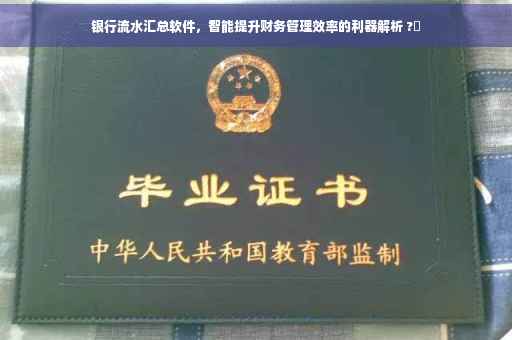 银行流水汇总软件，智能提升财务管理效率的利器解析 ?✨