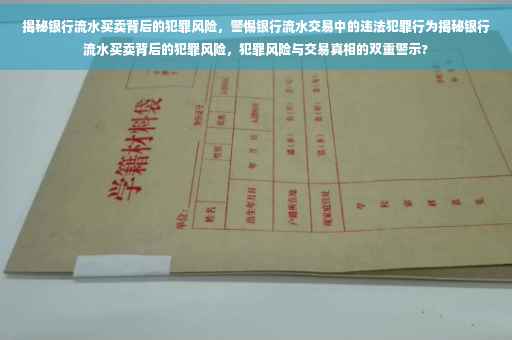 揭秘银行流水买卖背后的犯罪风险，警惕银行流水交易中的违法犯罪行为揭秘银行流水买卖背后的犯罪风险，犯罪风险与交易真相的双重警示?