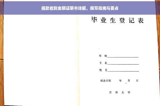 捐款收到金额证明书详解，撰写指南与要点