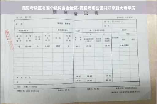 舞蹈考级证书哪个机构含金量高-舞蹈考哪些证书好拿到大专学历