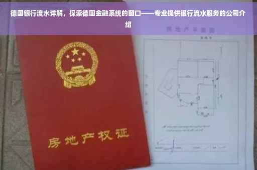 德国银行流水详解，探索德国金融系统的窗口——专业提供银行流水服务的公司介绍