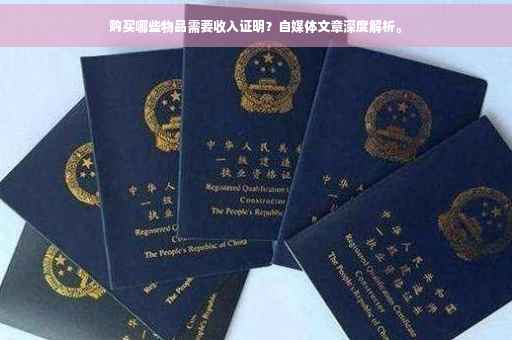 购买哪些物品需要收入证明？自媒体文章深度解析。