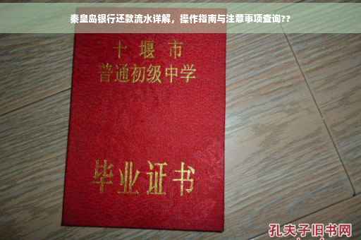 秦皇岛银行还款流水详解，操作指南与注意事项查询??