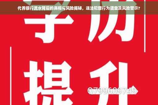 代养银行流水背后的真相与风险揭秘，违法犯罪行为调查及风险警示?