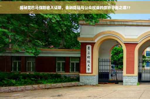 揭秘奥巴马保险收入证明，金融隐私与公众权益的微妙平衡之道??