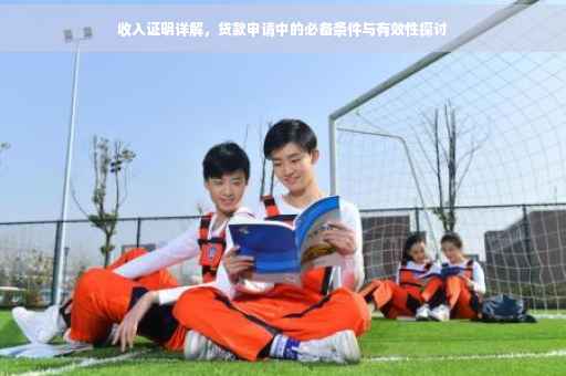 收入证明详解，贷款申请中的必备条件与有效性探讨
