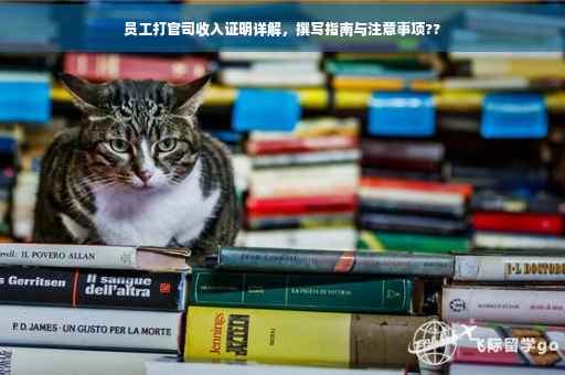 员工打官司收入证明详解，撰写指南与注意事项??
