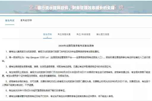 银行流水做账软件，财务管理效率提升的关键