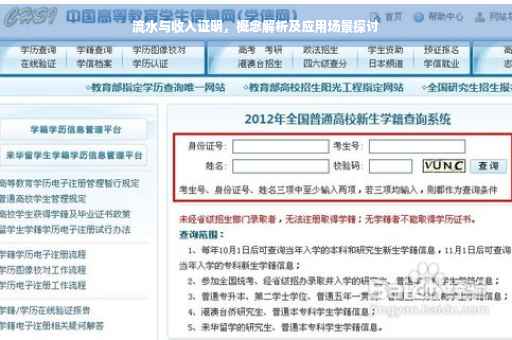 流水与收入证明，概念解析及应用场景探讨