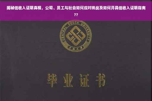 揭秘低收入证明真相，公司、员工与社会如何应对挑战及如何开具低收入证明指南??