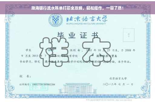 渤海银行流水账单打印全攻略，轻松操作，一目了然！