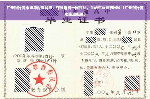 广州银行流水账单深度解析，存款消费一网打尽，金融生活细节回顾（广州银行流水账单概览）