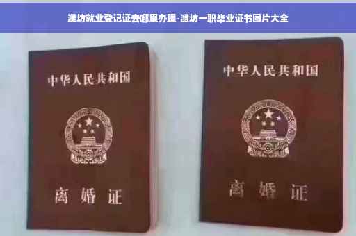 潍坊就业登记证去哪里办理-潍坊一职毕业证书图片大全
