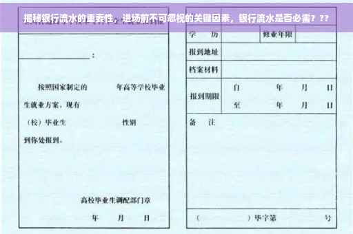 揭秘银行流水的重要性，进场前不可忽视的关键因素，银行流水是否必需？??