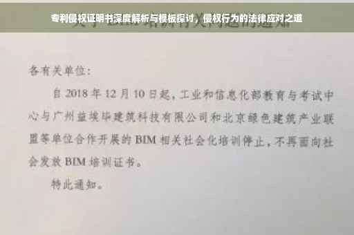 专利侵权证明书深度解析与模板探讨，侵权行为的法律应对之道