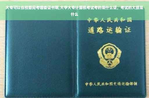 大专可以在校期间考哪些证书呢,大学大专计算机考试考的是什么证，考试的大纲是什么