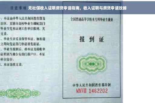 无社保收入证明房贷申请指南，收入证明与房贷申请攻略