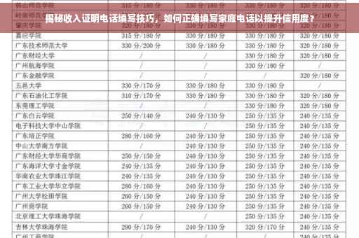 揭秘收入证明电话填写技巧，如何正确填写家庭电话以提升信用度？