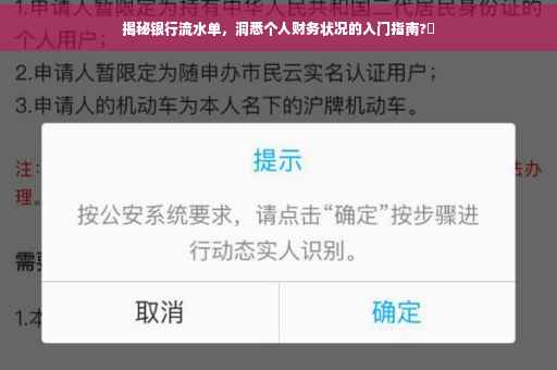 揭秘银行流水单，洞悉个人财务状况的入门指南?✨