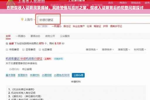 合肥假收入证明现象揭秘，风险警惕与应对之策，假收入证明背后的犯罪问题探讨