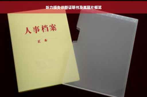 听力损失诊断证明书及其图片概览