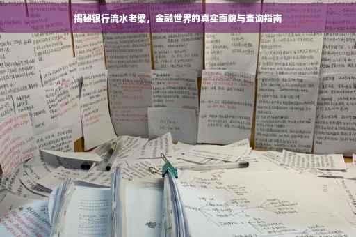 揭秘银行流水老梁，金融世界的真实面貌与查询指南