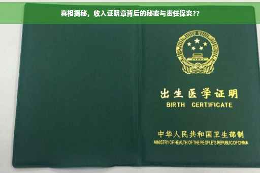 真相揭秘，收入证明章背后的秘密与责任探究??