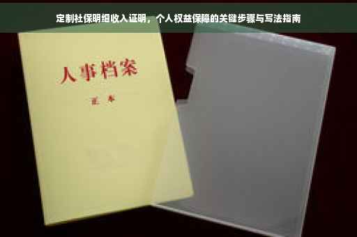 定制社保明细收入证明，个人权益保障的关键步骤与写法指南