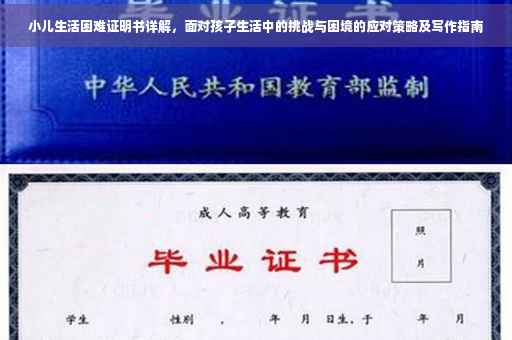 小儿生活困难证明书详解，面对孩子生活中的挑战与困境的应对策略及写作指南