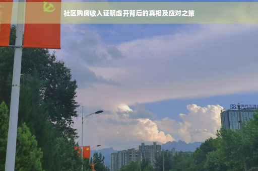 社区购房收入证明虚开背后的真相及应对之策