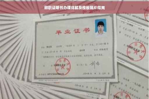 辞职证明书办理详解及模板图片指南