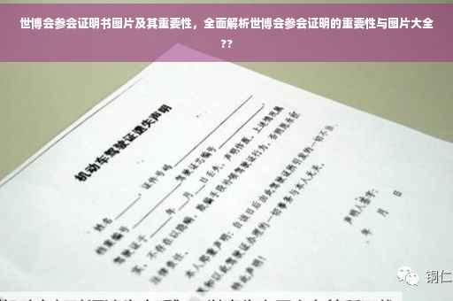 世博会参会证明书图片及其重要性，全面解析世博会参会证明的重要性与图片大全??