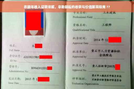 农耕年收入证明详解，辛勤耕耘的收获与价值展现指南 ??