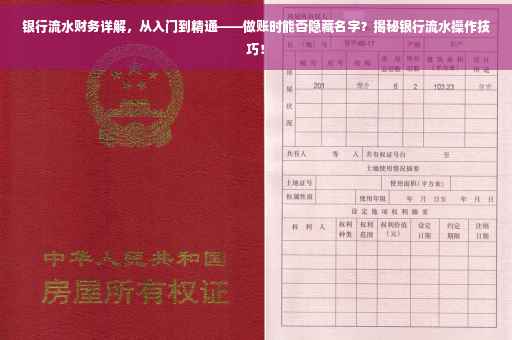 银行流水财务详解，从入门到精通——做账时能否隐藏名字？揭秘银行流水操作技巧！