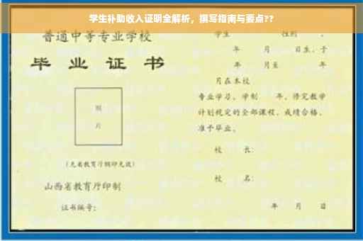 学生补助收入证明全解析，撰写指南与要点??
