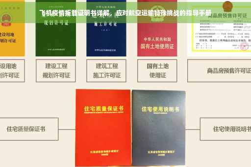 飞机疫情拒载证明书详解，应对航空运输特殊挑战的指导手册