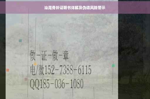 汕尾骨折证明书详解及伪造风险警示