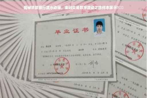 揭秘贷款银行流水动画，金融交易数字流动之旅样本展示?⚡️