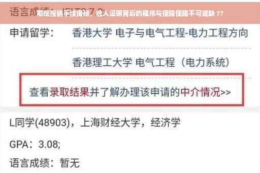 癌症报销手续揭秘，收入证明背后的程序与保障保障不可或缺 ??