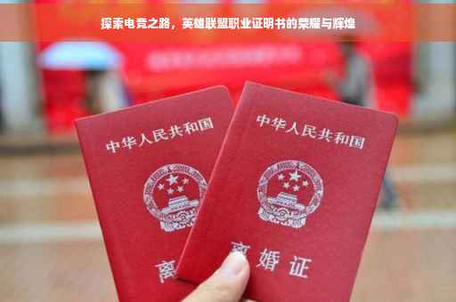 探索电竞之路，英雄联盟职业证明书的荣耀与辉煌
