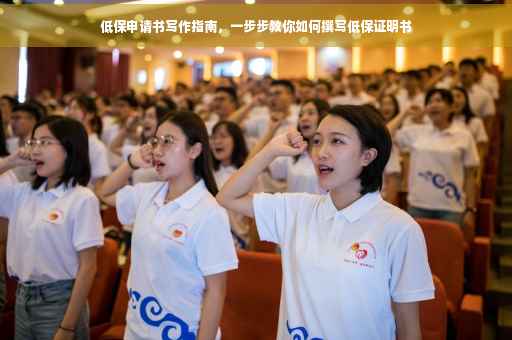 低保申请书写作指南，一步步教你如何撰写低保证明书