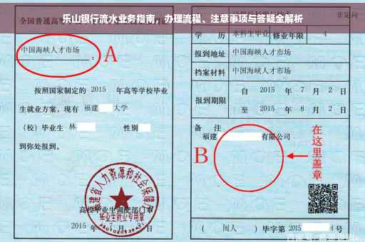 乐山银行流水业务指南，办理流程、注意事项与答疑全解析