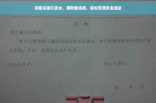 活期富银行流水，理财新选择，轻松管理资金流动
