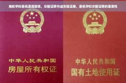 南航孕妇乘机遭遇困境，诊断证明书成关键证据，乘机孕妇诊断证明的重要性