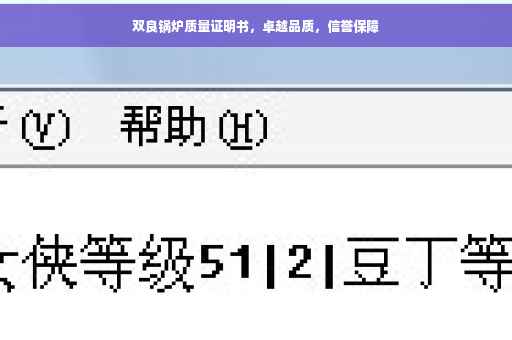 双良锅炉质量证明书，卓越品质，信誉保障