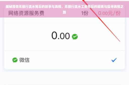 揭秘原告无银行流水背后的故事与真相，无银行流水工资背后的困境与探寻真相之路