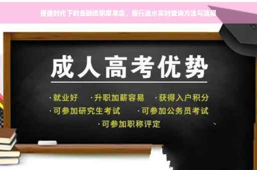 便捷时代下的金融透明度革命，银行流水实时查询方法与流程