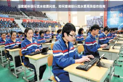 深度解析银行流水收费问题，如何查询银行流水费用及操作指南