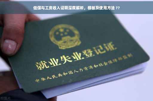 低保与工资收入证明深度解析，模板及使用方法 ??