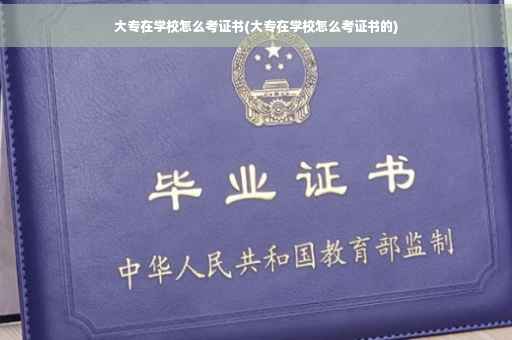 大专在学校怎么考证书(大专在学校怎么考证书的)